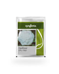 Syngenta CFL 1522 Cauliflower Seeds - (Gobhi Seeds) Uniform Curd Variety----2000 Seeds Pack