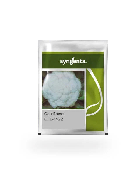 Syngenta CFL 1522 Cauliflower Seeds - (Gobhi Seeds) Uniform Curd Variety----2000 Seeds Pack