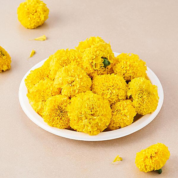 Gennext F1 Hybrid Marigold Surya Flowers Seeds