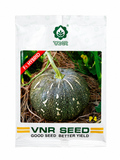 VNR P4 F1 Hybrid Pumpkin Seeds (Petha) High Yield, Flat Round Fruits, Flat Round Shape
