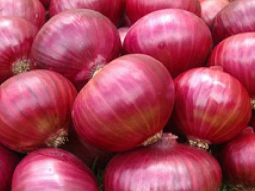 Jindal Nasik Red N-53 Onion Seeds - (Kanda, Pyaaz) High Yielding, Medium Red Flat Oval Bulbs For All Seasons