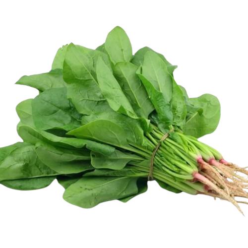 EXTREME SEEDS F1 Hybrid HARSHIT Spinach (Palak) Seeds, High Yielding and Round the Year Variety