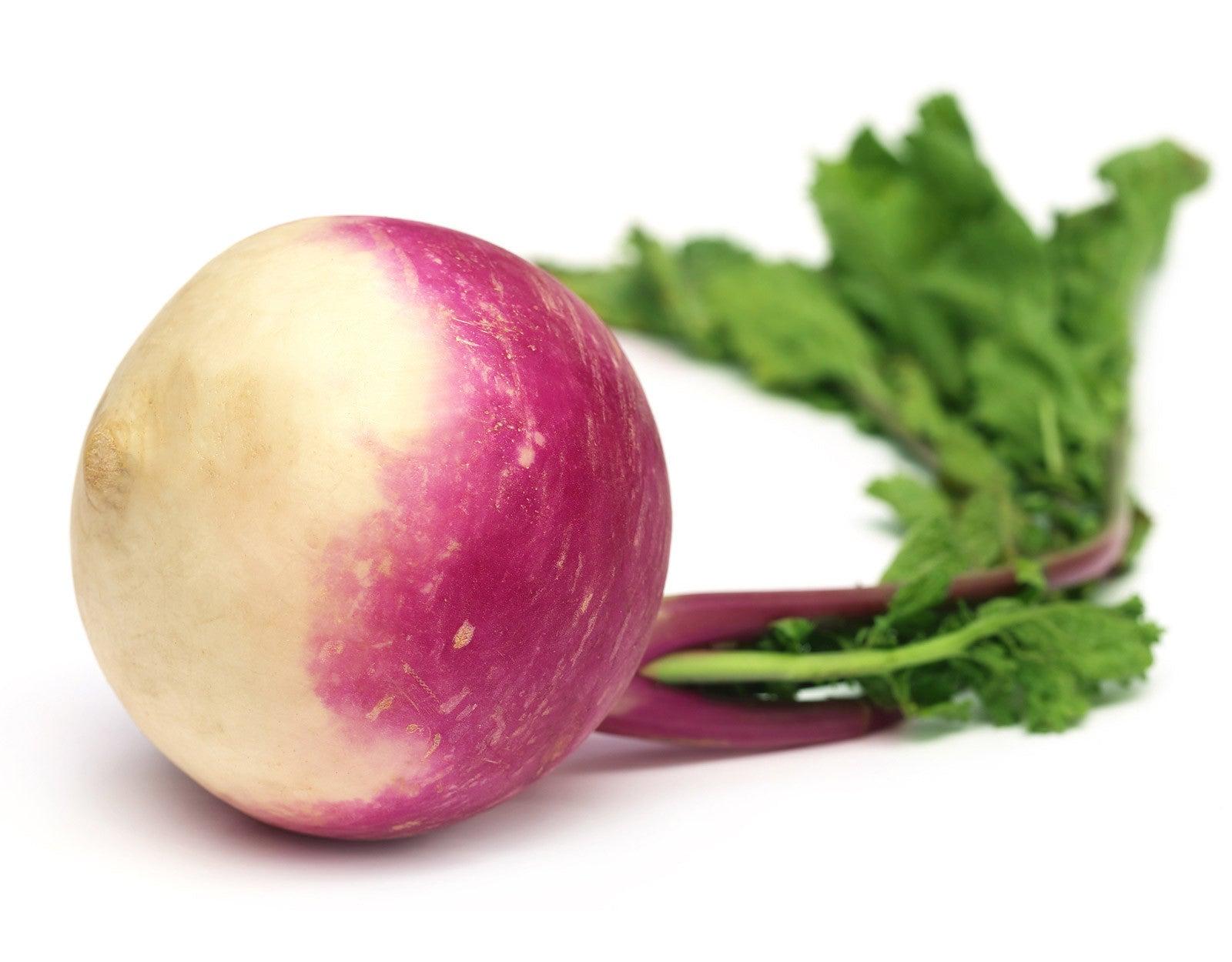 EXTREME SEEDS F1 Hybrid RAJA Turnip Purple Top Seeds (SHALGAM) Winter Season Vegetable Seeds