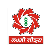 Luxmi Seeds Winner Gold Moong Seeds