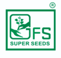 Neelam Nashik-53 Onion Seeds - (Kanda ,Pyaaz) Suitable For Kharif, Rabi And Summer Seasons