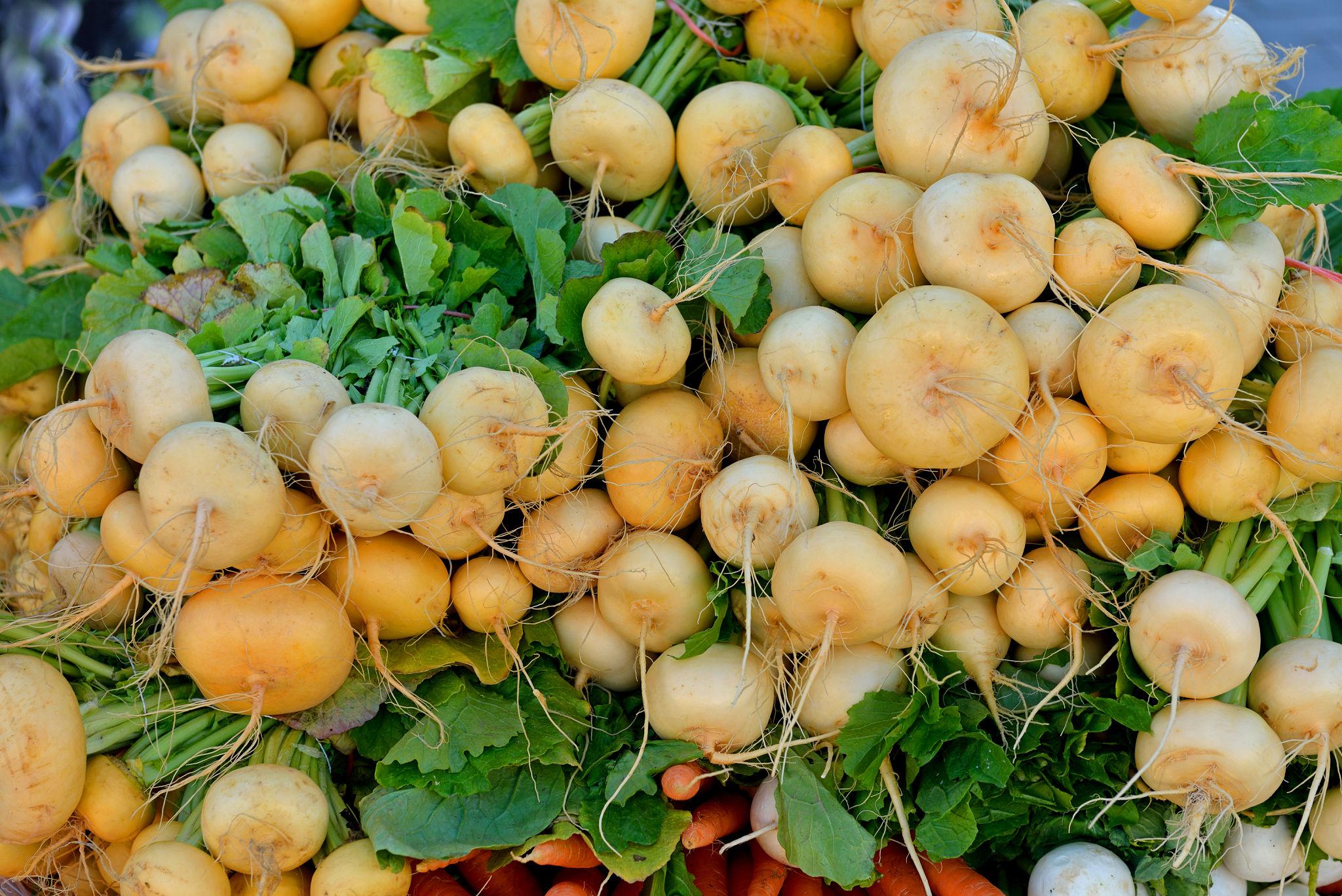 EXTREME SEEDS F1 Hybrid Yellow Turnip MADHU Seeds, Open Pollinated, Globe Round Shape