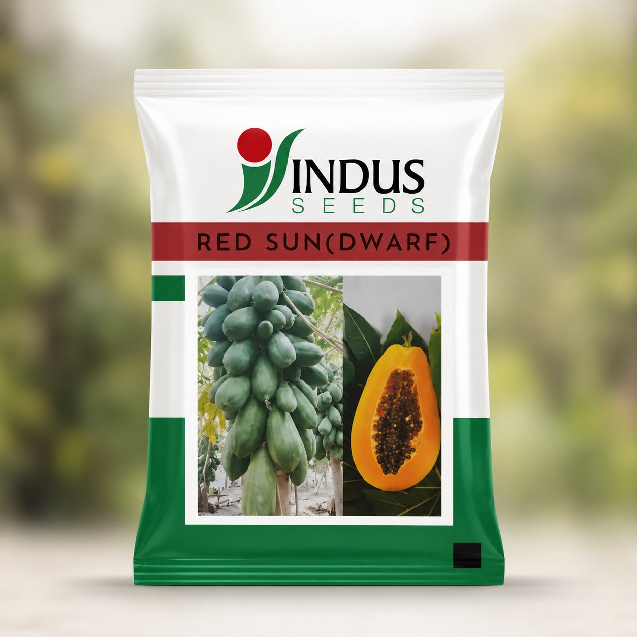 Indus RED SUN (DWARF) F1 Hybrid Papaya Seeds, Uniform Fruits (PAPITA) 10 SEEDS