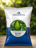 Advanta F1 Hybrid BGT 060 Bottle Gourd Seeds (KADDU & GHIYA) High Yielding Variety, Pista Green Color