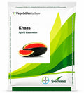 Seminis Khaas F1 Hybrid Watermelon Seeds  (TARBOOZ) High Yield Sweet Red Flesh Variety
