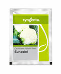 Syngenta Suhasini Cauliflower Seeds (Gobhi) - Early maturity, Sturdy Plant, Compact White Curd ----2000 Seeds Pack