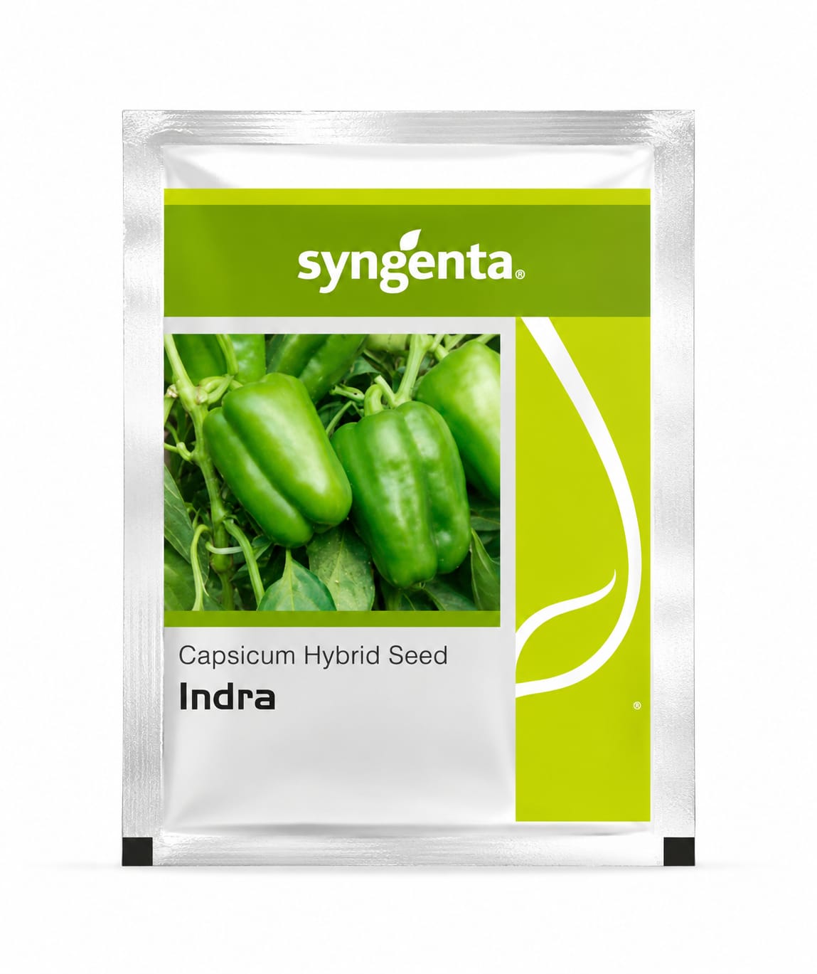Syngenta Indra Hybrid Capsicum Seeds  (shimla Mirch)- High Yield, Heat & Cold Set----1500 Seeds Pack