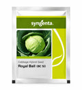 Syngenta ROYAL BALL (BC 51) CABBAGE Seed (Band Gobhi & Patta Gobhi) ----2000 Seeds Pack