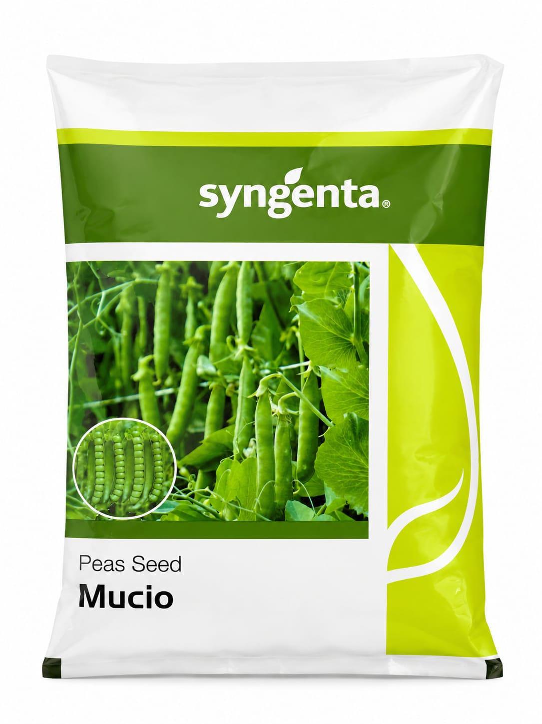 Syngenta Mucio Peas Seeds (Pencil Matar) ---1 Kg Pack