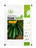 Team Seeds SAAJAN Zucchini Seeds, High Yield Early Maturity Vegetable Variety (PETHA)