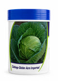 Gennext Golden Acre Imported F1 Hybrid Cabbage Seeds (BANDH GOBHI) Early Maturity Variety Suitable For Kharif and Rabi Seasons
