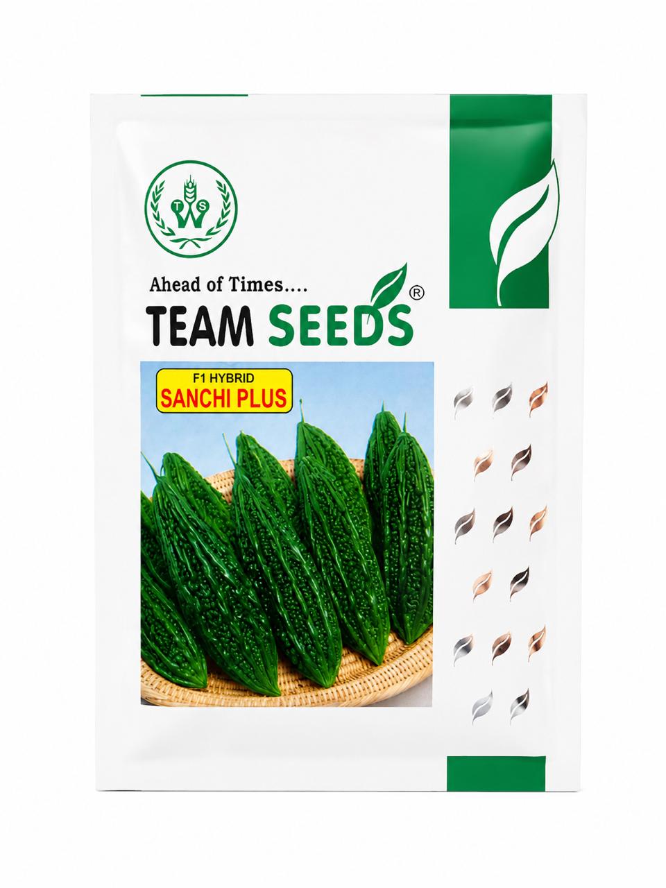 Team Seeds F1 Hybrid Sanchi Plus Bitter Gourd (KARELA) Seeds for Outdoor