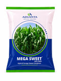 Advanta Mega Sweet ADV 6681 Jowar Seeds - Sorghum Seeds, Hybrid Fodder Seeds, High Yield, Nutritious, Single Cut, Disease Tolerant