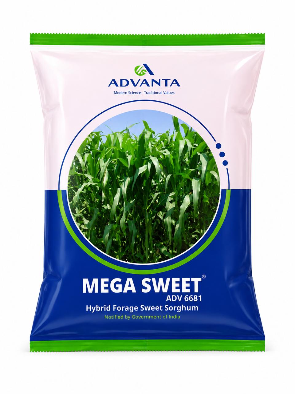 Advanta Mega Sweet ADV 6681 Jowar Seeds - Sorghum Seeds, Hybrid Fodder Seeds, High Yield, Nutritious, Single Cut, Disease Tolerant