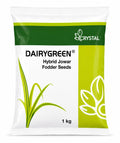 Crystal Dairy Green Hybrid Jowar Seeds