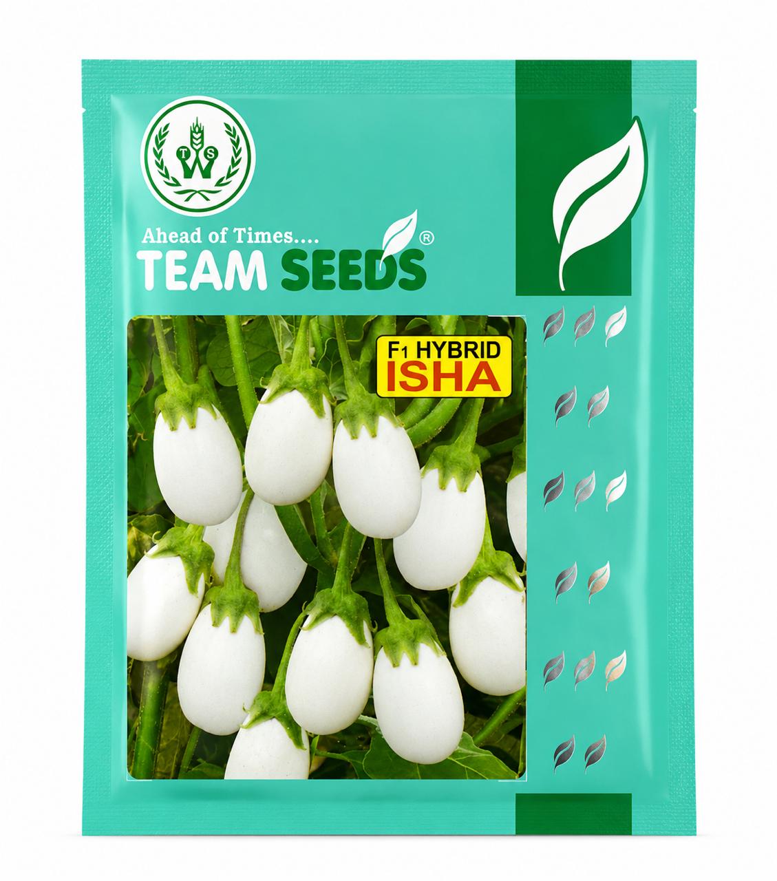 Team Seeds F1 Hybrid Isha White Chuchu Brinjal Seeds