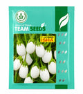 Team Seeds F1 Hybrid Isha White Chuchu Brinjal Seeds