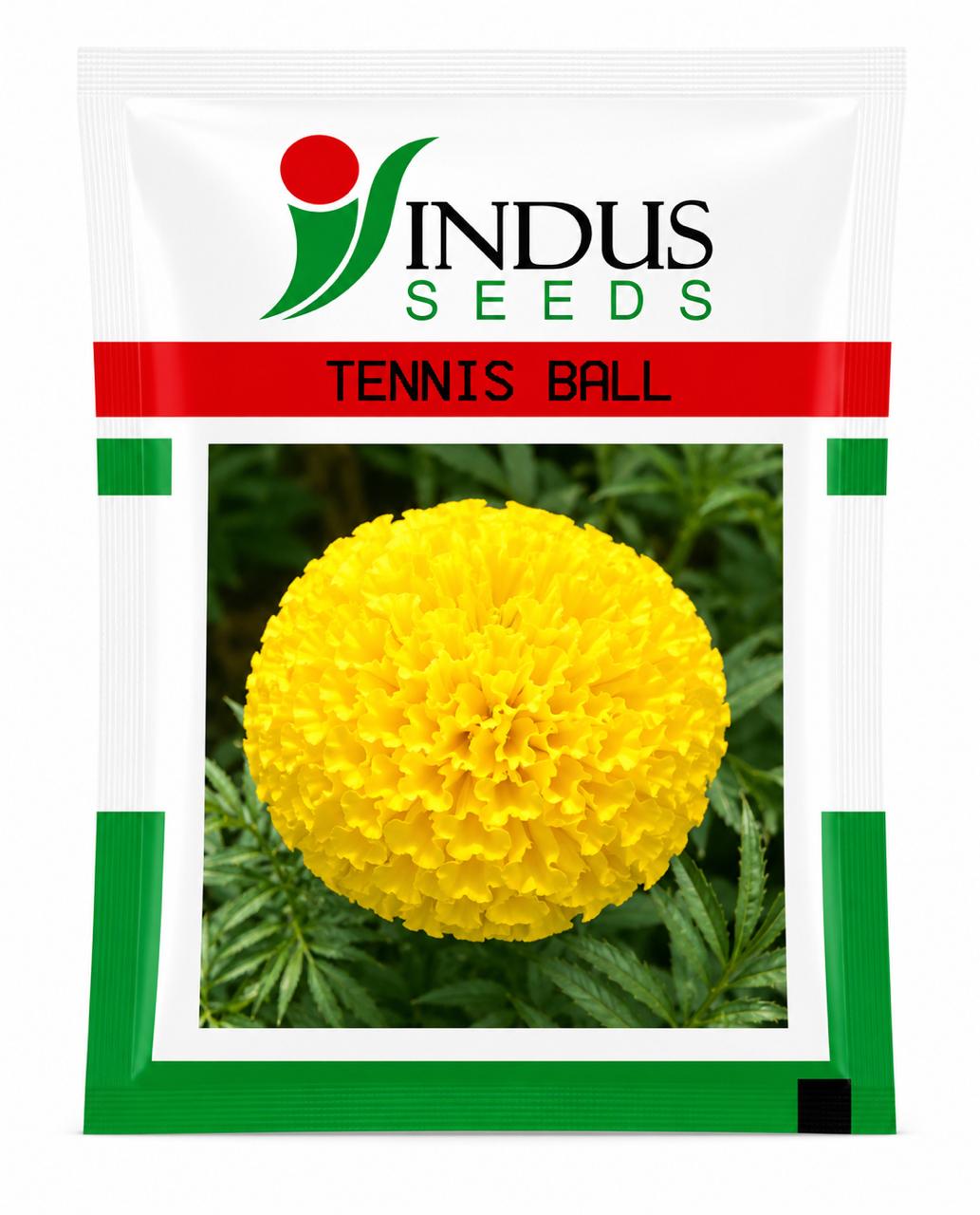 Indus F1 Hybrid TENNIS BALL MARIGOLD Flower Seeds (GENDA)