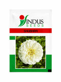 Indus Seeds F1 Hybrid Bijilee Shubhra Seeds, Bijilee Fool Ke Beej, Bijilee Seeds, Very Good Quality.