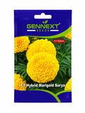 Gennext F1 Hybrid Marigold Surya Flowers Seeds