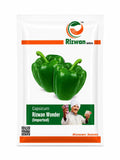 RIZWAN Imported Wonder Capsicum Seeds
