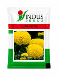 Indus Seeds F1 Hybrid Yellow Benz Tall Marigold Flower Seeds, Vibrant Lemon Yellow Blooms