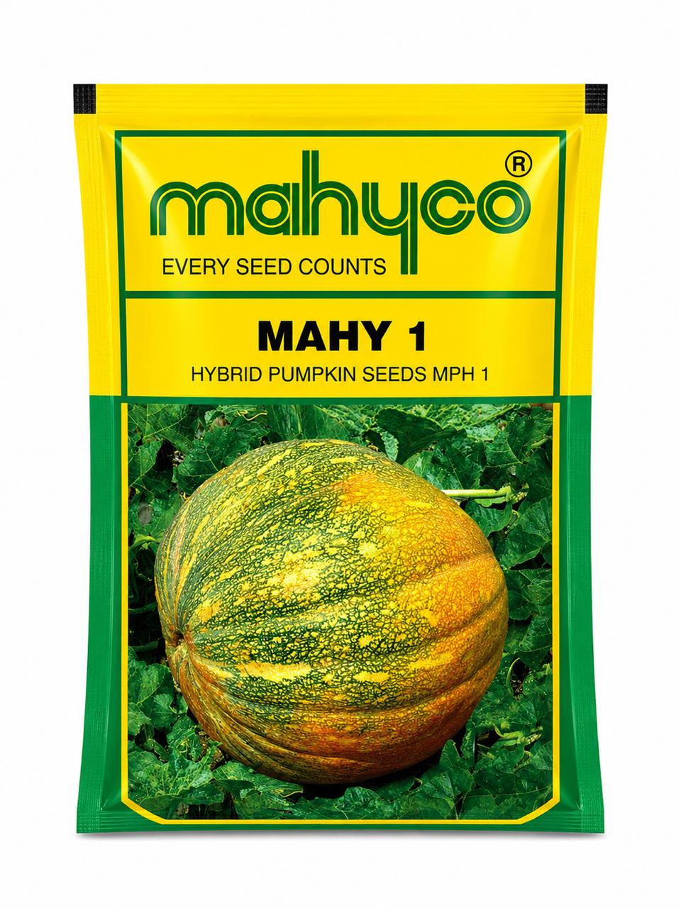 Mahyco F1 Hybrid  MAHY-1 Pumpkin Seeds by – Orange-Yellow Fruits with Long Shelf Life