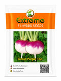 EXTREME SEEDS F1 Hybrid RAJA Turnip Purple Top Seeds (SHALGAM) Winter Season Vegetable Seeds