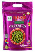Hari Har Vikrant-65 Moong Seeds, Green Gram Seeds