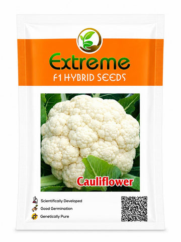 EXTREME CAULIFLOWER KGP