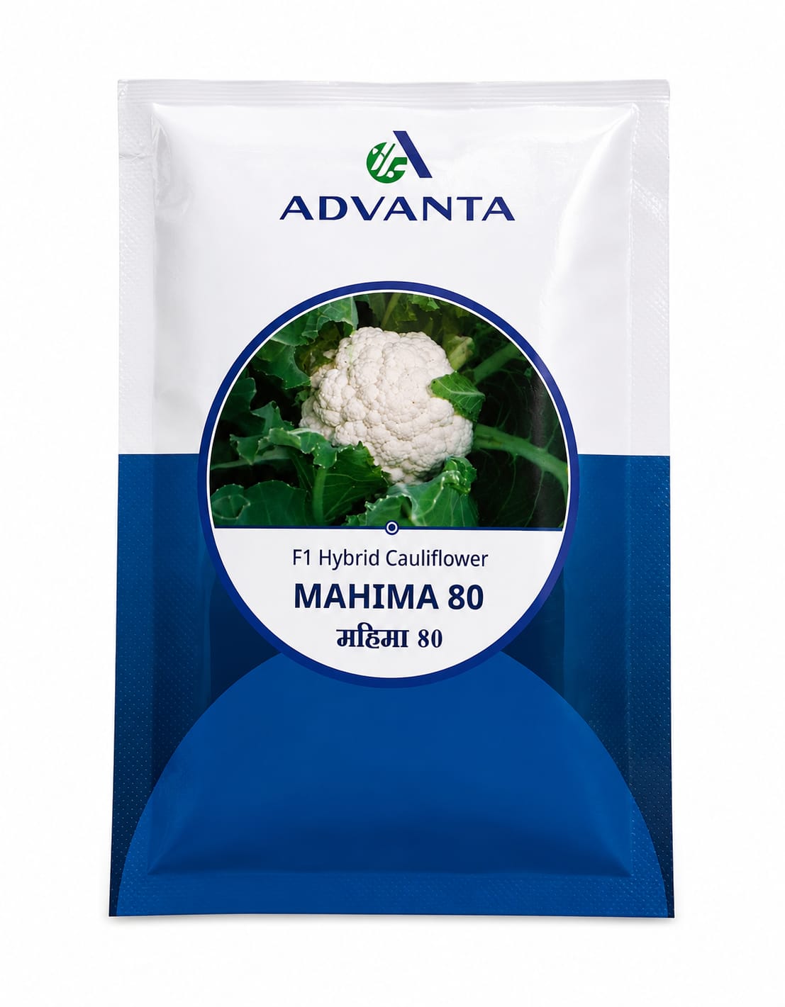 Advanta Mahima 80 F1 Hybrid Cauliflower Seeds (Gobhi) Premium Quality, Long Maturity and High Yield