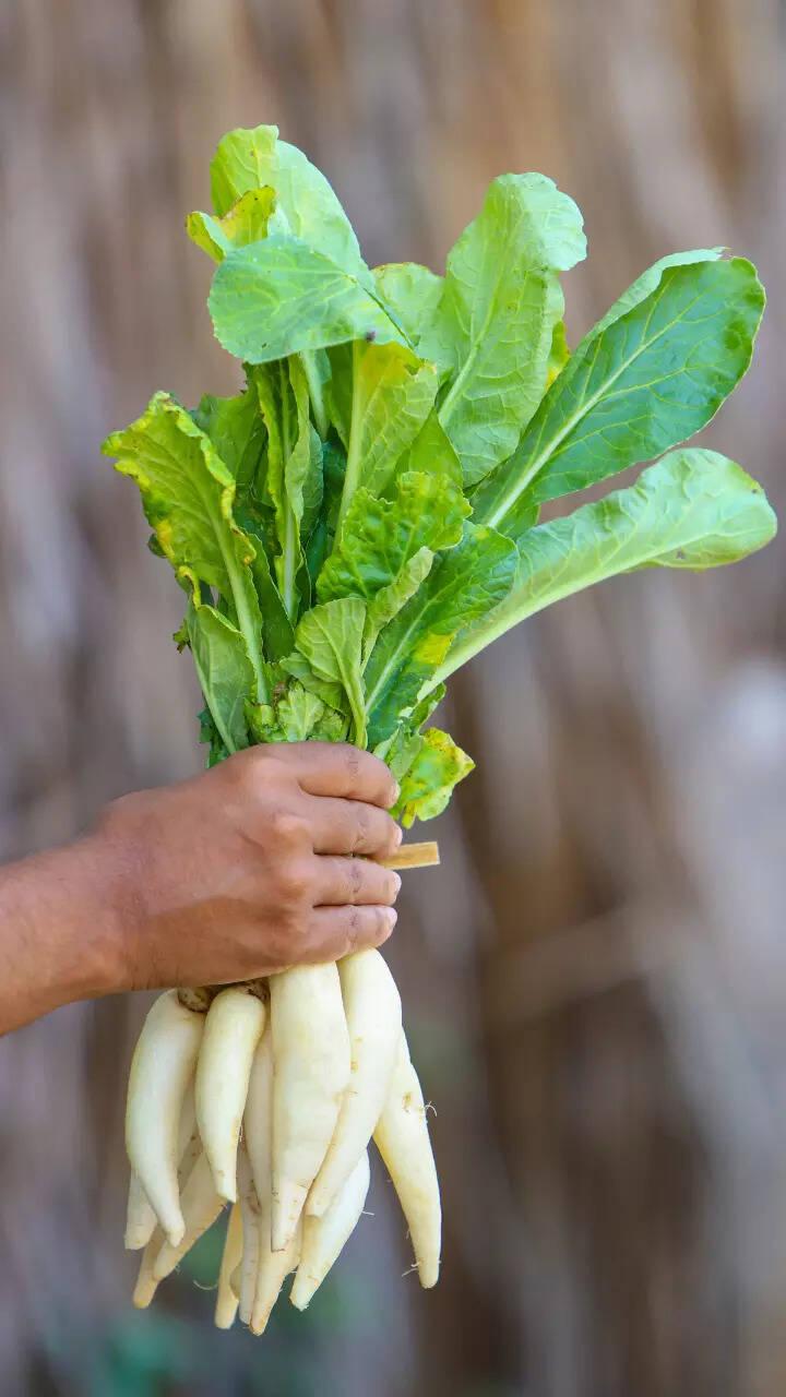 R.K.SEEDS EARLY R-30 Radish Seeds for Outdoor