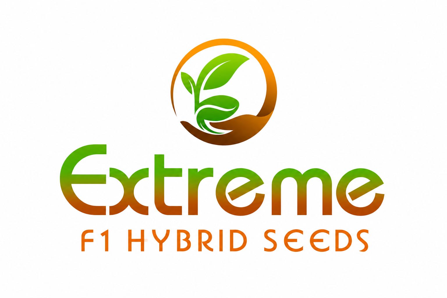 EXTREME SEEDS F1 Hybrid BIG BOSS Onion Seeds, Globe Shape, Pyaj Ke Beej, High Yield Variety