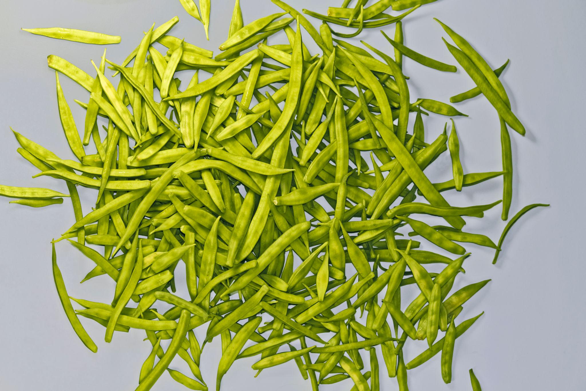 EXTREME SEEDS GUAR Seeds