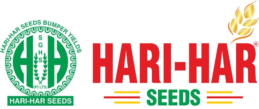Hari Har Multi Cut Bajra Forage Seeds, Fodder Seeds