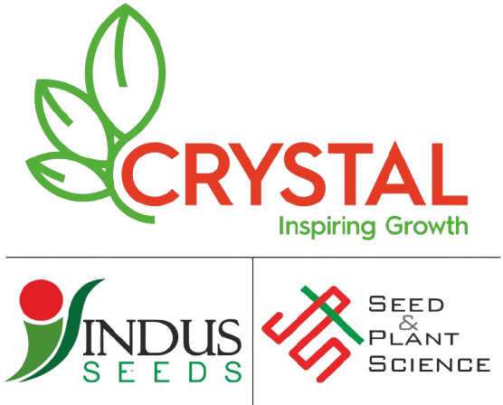 Indus F1 Hybrid IB MIX Flower Seeds
