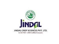 Jindal Nasik Red N-53 Onion Seeds - (Kanda, Pyaaz) High Yielding, Medium Red Flat Oval Bulbs For All Seasons