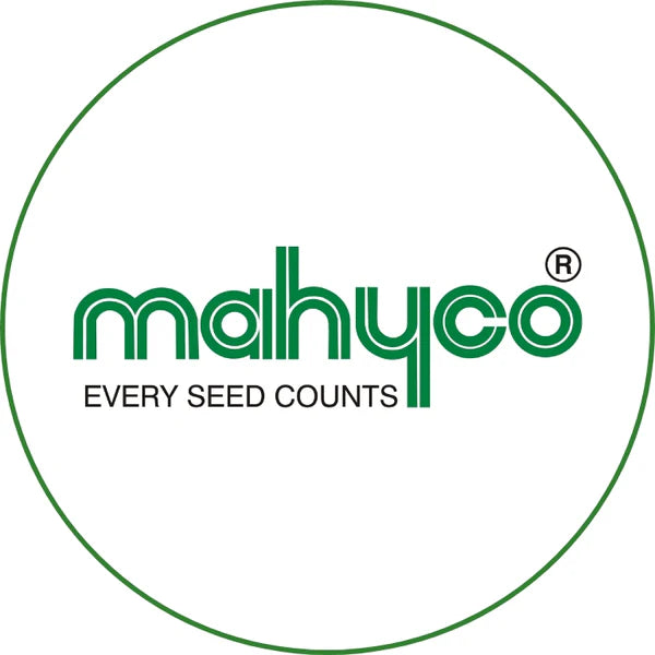 Mahyco F1 Hybrid  MAHY-1 Pumpkin Seeds by – Orange-Yellow Fruits with Long Shelf Life