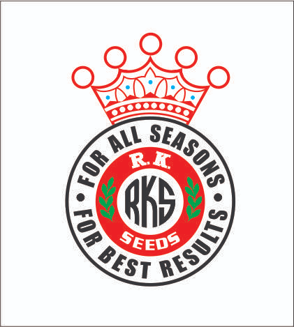 R.K.SEEDS EARLY R-30 Radish Seeds for Outdoor