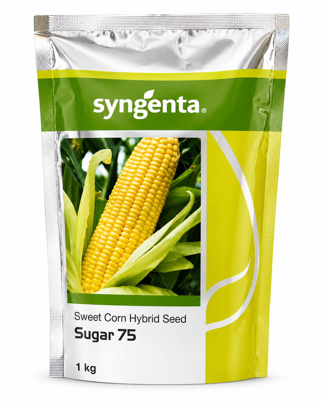 Syngenta Hybrid Sugar 75 Sweet Corn Seeds (Maize & Makka Beej) 1KG Pack