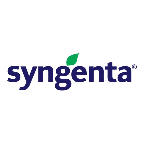 Syngenta Okra Hybrid Seeds OH 2324 (Bhindi) 250GM