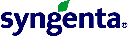 Syngenta Lucky Cauliflower Seeds (Gobhi) ----2000 Seeds Pack