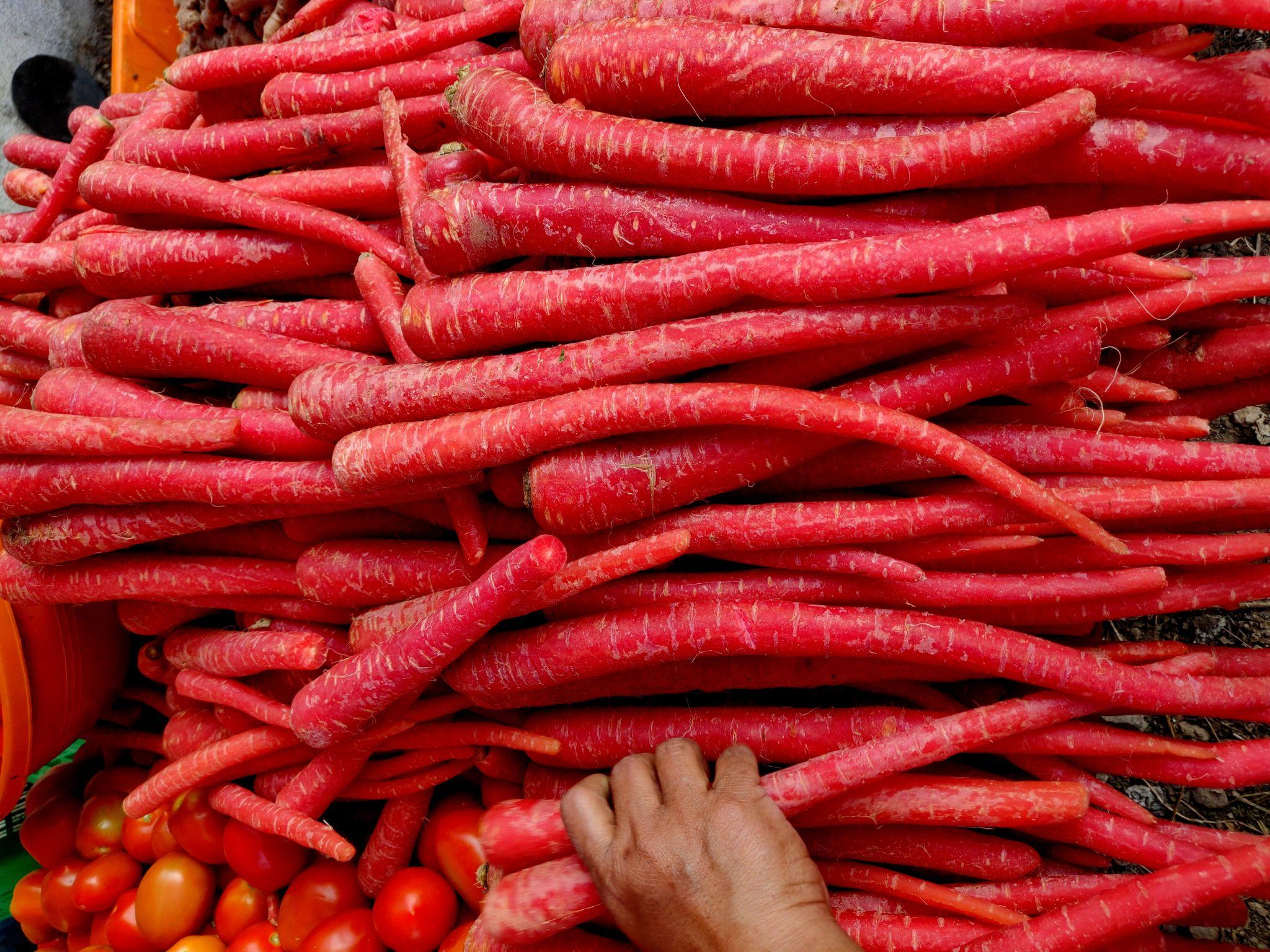 EXTREME SEEDS F1 Hybrid MOHINI Carrot Seeds (GAJAR) Bright Dark Red Root Color, Tapering Shape